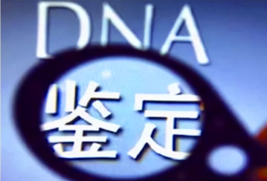湖南落户口亲子鉴定哪里办理,湖南迁户亲子鉴定费用一般要多少钱