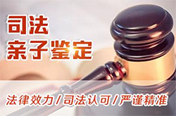 湖南司法亲子鉴定的流程(咨询地址)，湖南司法亲子鉴定哪里可以办理