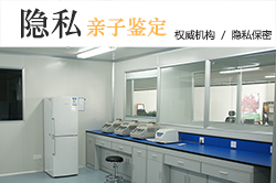 湖南隐私亲子鉴定哪里能办理，湖南隐私亲子鉴定结果准确吗